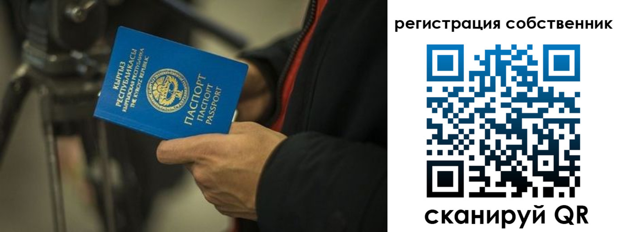 временная регистрация поиск в Лыткарино